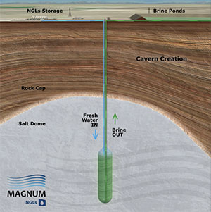 Magnum NGLs