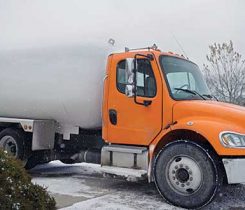 bobtail in winter. Photo: iStock.com/RealCreation