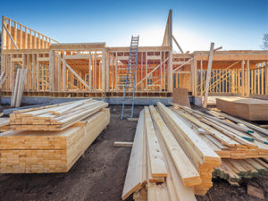 Moody’s believes housing starts will rise by 19.4 percent in 2019, a sizeable jump from 2018. Photo: Istock.com/Maudib