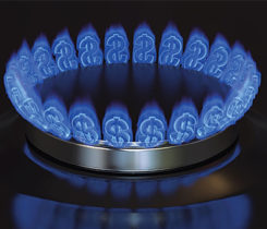 Growth is achieved organically by adding new propane users or through the addition of burner tips in and around the home. Photo: iStock.com/Model-la