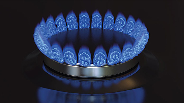 Growth is achieved organically by adding new propane users or through the addition of burner tips in and around the home. Photo: iStock.com/Model-la