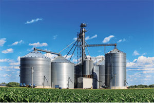 A late harvest and the possibility of wet weather in the fall may boost crop drying demand just as the heating season begins, placing additional pressure on propane supply. Photo: iStock.com/ghornephoto