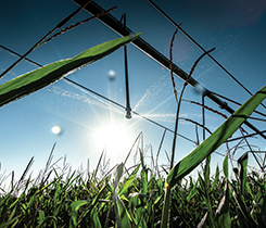 Farm irrigation photo