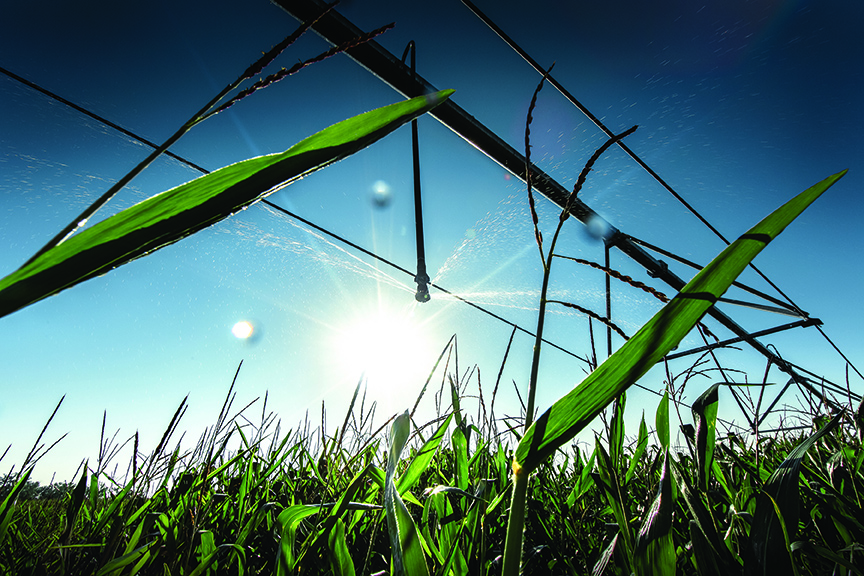 Farm irrigation photo