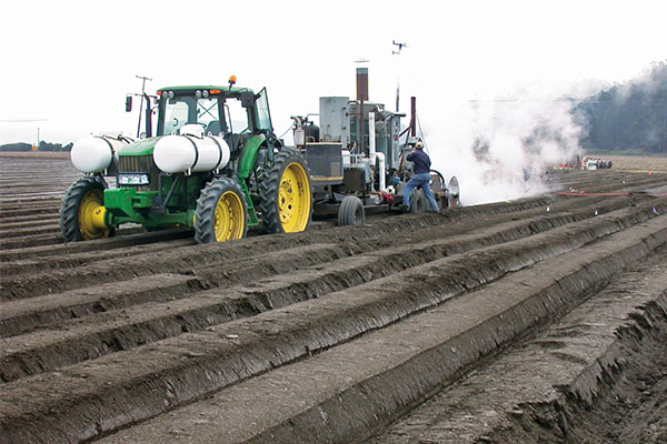 A propane-fueled steam generator has been shown to be a promising alternative to fumigants. The constant application of hot water vapor kills pathogens in the soil. Photo by Steve Fennimore