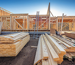 Photo: iStock.com/Maudib