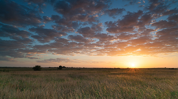 GracedByTheLight/iStock / Getty Images Plus/Getty Images