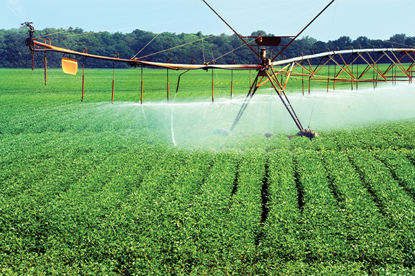 Irrigation photo: nameinfame/iStock / Getty Images Plus/Getty Images