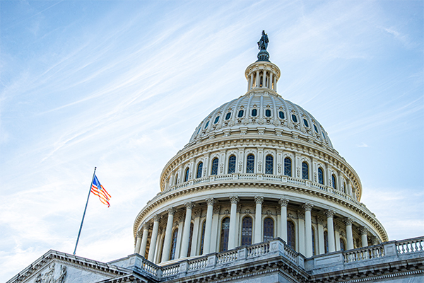 Capitol photo: Photo: Elisank79/iStock / Getty Images Plus/Getty Images