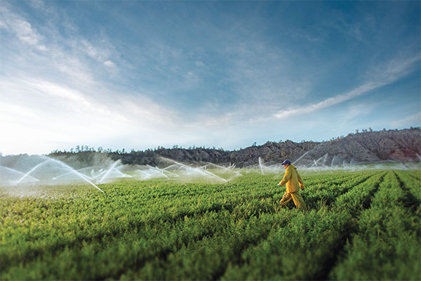 A wet spring across the Midwest this year may lead to a later harvest and crop drying season that coincides with the beginning of the propane industry’s heating season. (Photo courtesy of the Propane Education & Research Council)