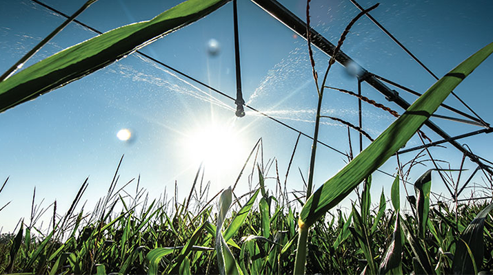 PERC doubles ag equipment incentives following tornado outbreak - Vimarsana News