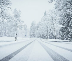 Photo: Wirestock/iStock/Getty Images Plus