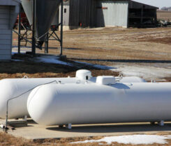 Image: DarcyMaulsby/iStock/Getty Images Plus