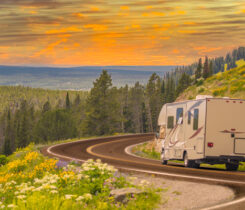 Image: Feverpitched/iStock/Getty Images Plus