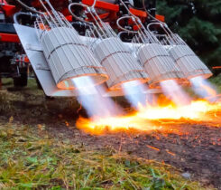 Strong demand for organic foods, pesticide reduction and cost-saving opportunities are driving the use of flame weeding. (Photo courtesy of Flamewerks)