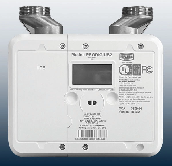 Cavagna smart meter