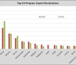 Chart 1: Top U.S. propane export destinations (Chart courtesy of Cost Management Solutions)