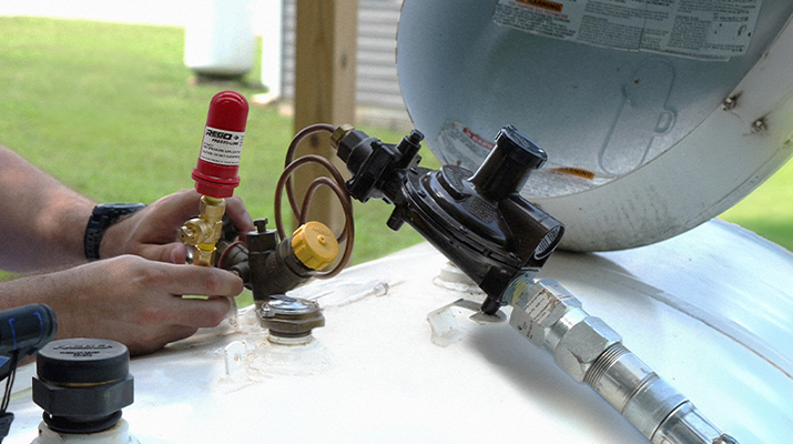 (Photo courtesy of F.W. Webb)