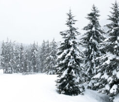 Image: sharply_done/E+/Getty Images