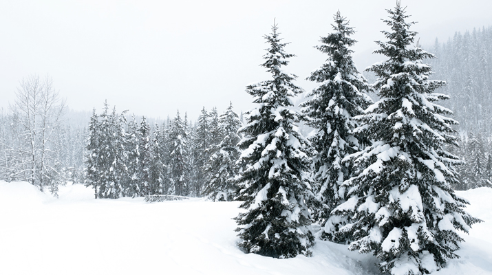 Image: sharply_done/E+/Getty Images