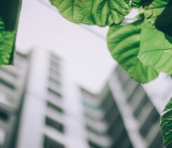 Please Fill Out The Following Fields.