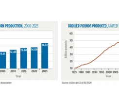 U.S. corn production and broiler pounds produced